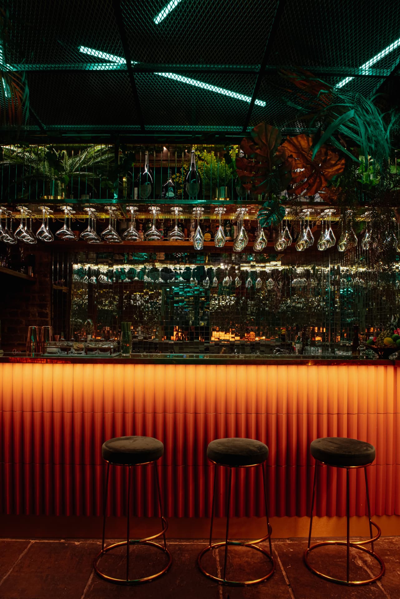 The backlit bar at Cache Cache with hanging glassware and tropical greenery